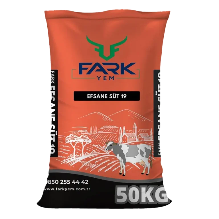 Efsane Sut 19