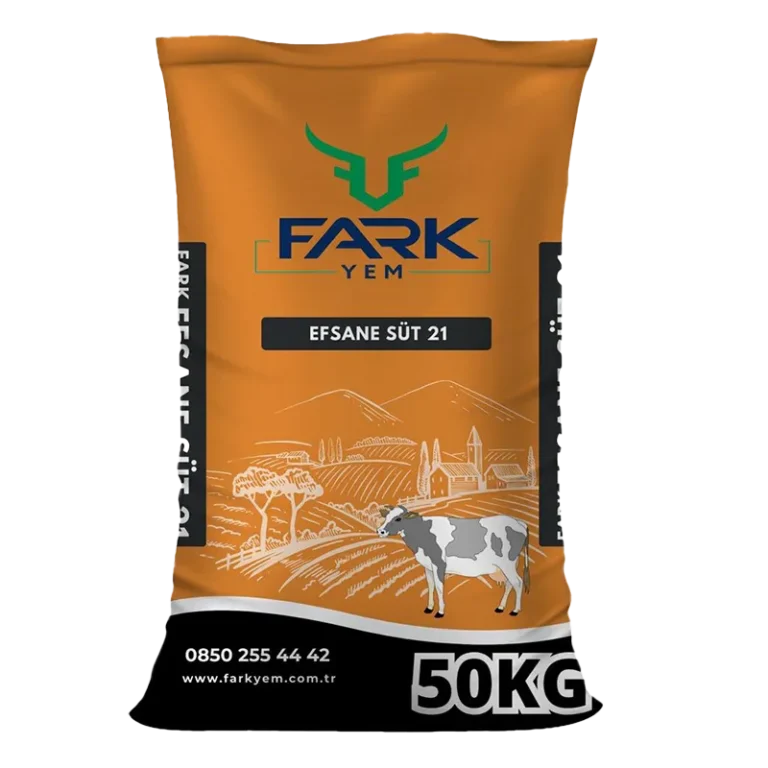Efsane Sut 21